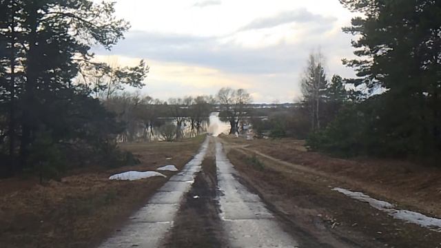 Заливные луга за с.Ерахтур.Разлив подошел к бору. 11.04.26г.