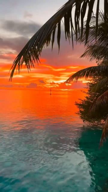 ПОЗИТИВНОЕ ОТНОШЕНИЕ УСИЛИВАЕТ СПОСОБНОСТЬ ОРГАНИЗМА К ОБНОВЛЕНИЮ.