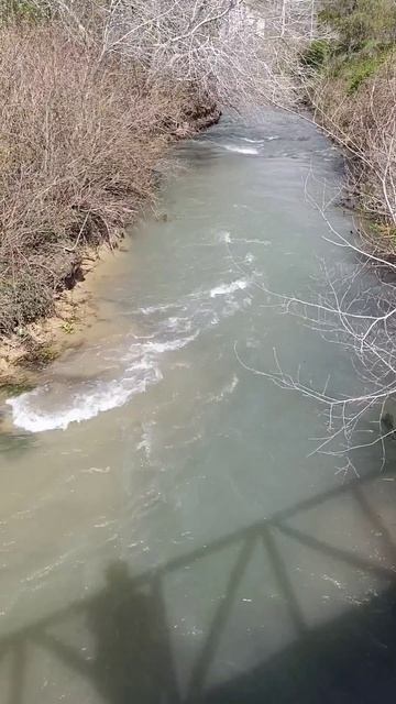 Уровень воды в реке Сукко и ереке 11 Апреля 2026 года. Репортаж Светланы Тихоновны.