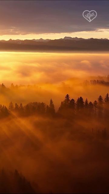 Мир просыпается