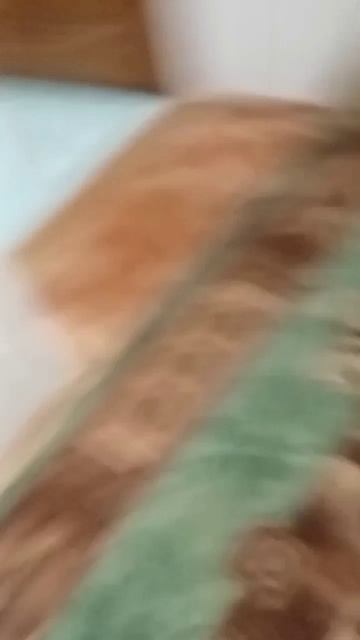 типичный день хозяина