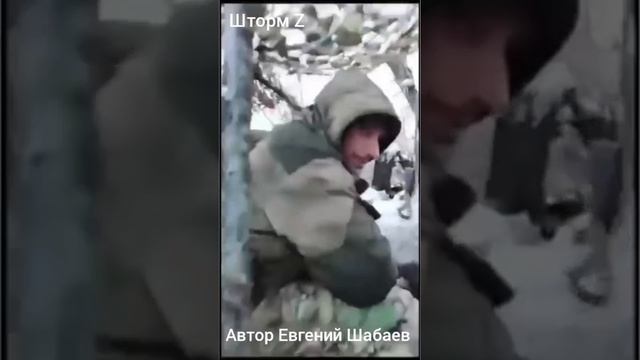 Шторм Z. Автор Евгений Шабаев