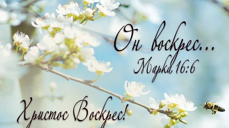 Христос воскрес! | читает: Е. Куропаткина