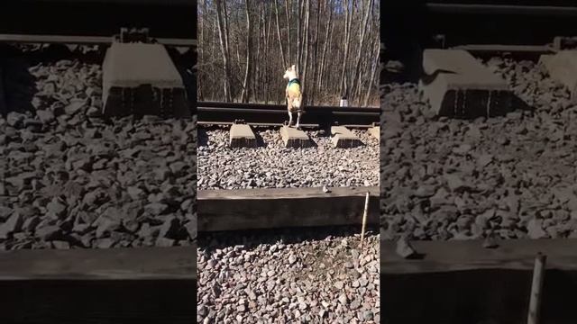 462cdc3face6eecc4a07f72607cf9779