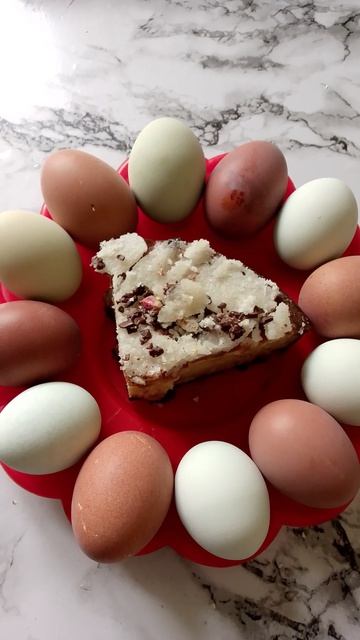 собака улыбака сиба приколы - накануне