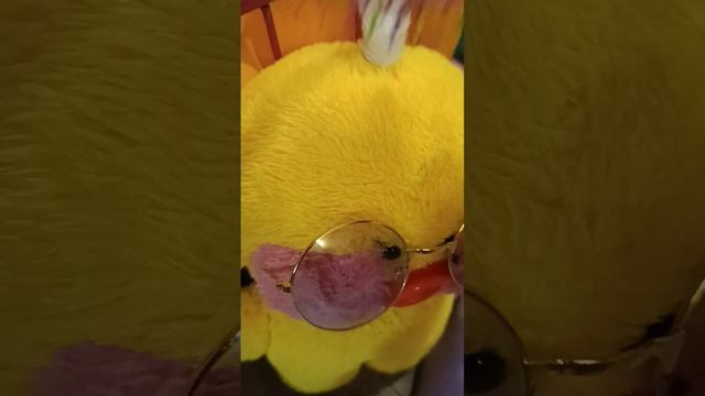 был день уточки, а? Мику. подумала, что ей не подарили ничего.