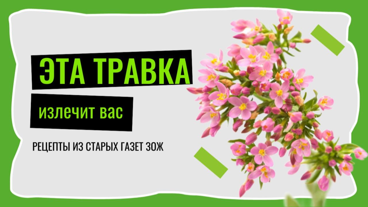 ЭТА ТРАВА ИЗЛЕЧИТ МНОГИЕ БОЛЕЗНИ