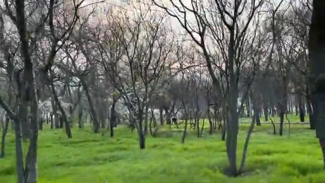 ОДЕССА 11 АПРЕЛЯ 2026. ШЕЙХИ ОАЭ ПОПРОСИЛИ УКРАИНСКИХ СПЕЦИАЛИСТОВ ПВО СВАЛИТЬ! БУСИФИКАЦИИ - БЫТЬ!