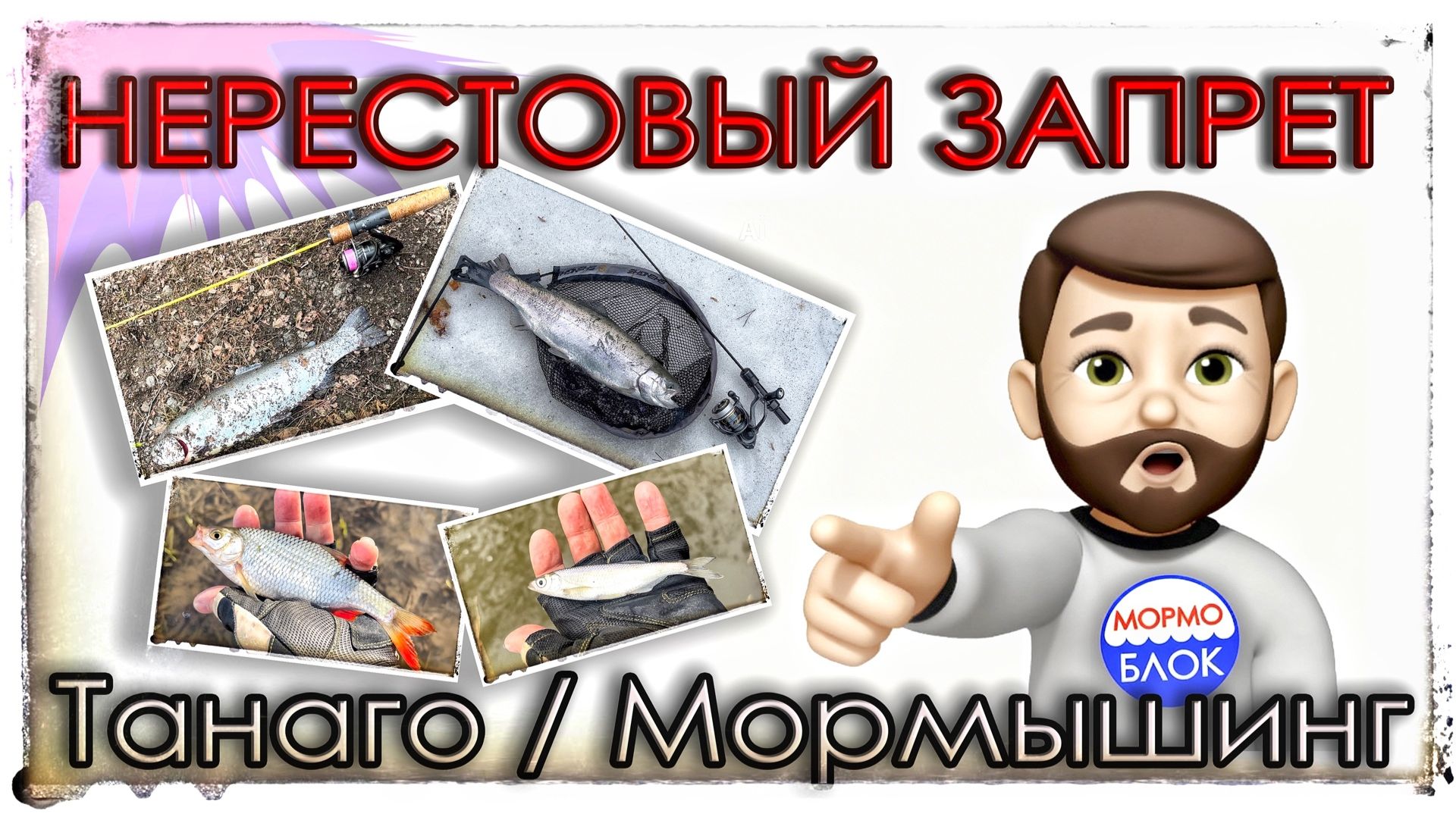Нерестовый запрет 2026. Мормышинг. Танаго.
