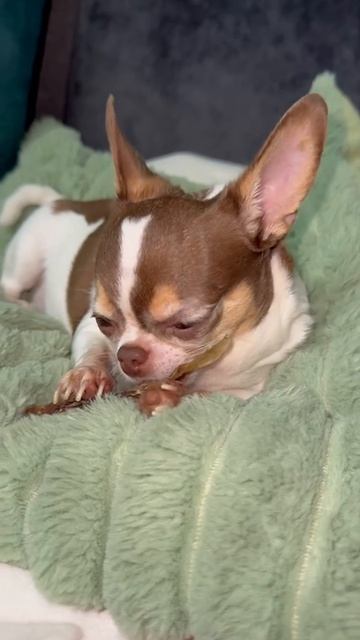 Очень вкусненько.