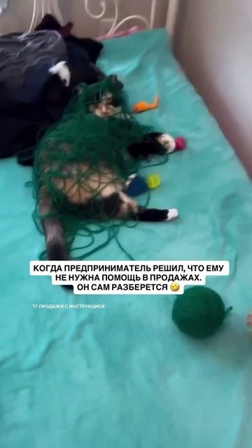 ✅ Протестируй бесплатно ии продавца для своего бизнеса здесь: Https://t.me/unisalesmen_bot