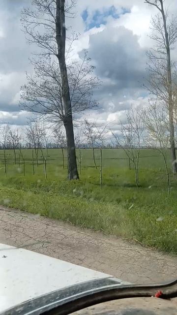 4962.mp4ИСТИННАЯ ЦЕННОСТЬ КУБАНИ