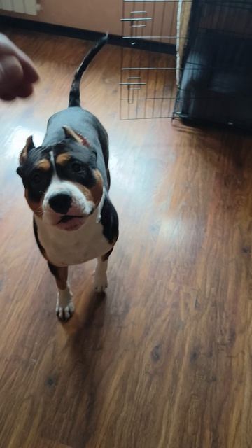 отрабатываем команду 