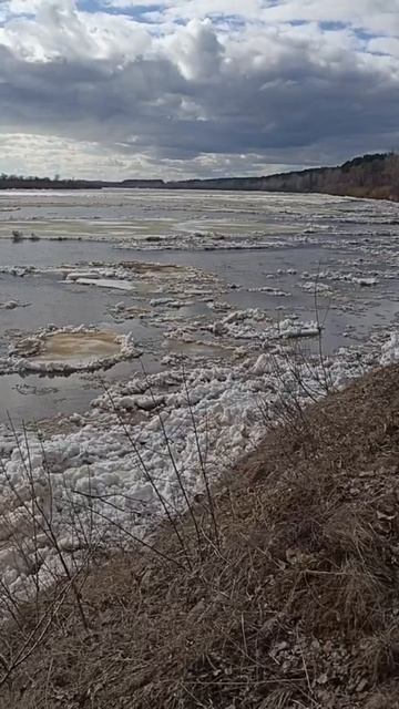Видеоролик 4. Ледоход на реке Вятке. 04.04.2026 года. (Продолжение.)