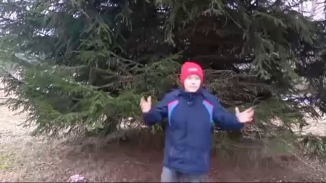 Творческое задания для участия в смене РГО
