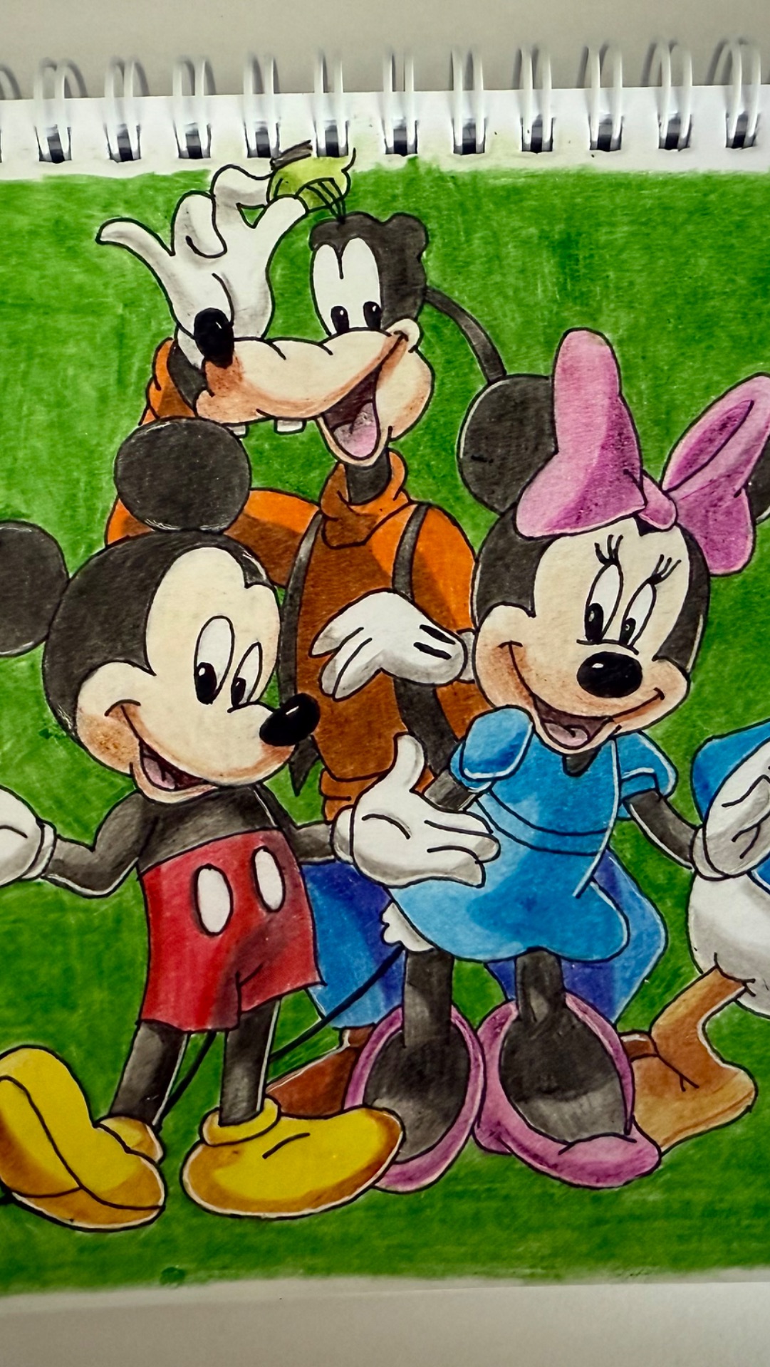 Mickey & friends 🐭