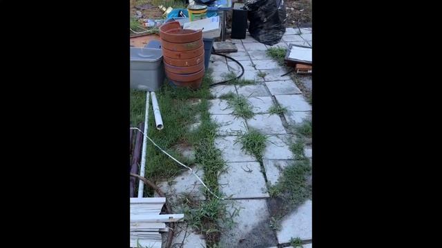 Продолжаю ОЖИВЛЯТЬ убитый ДОМ  — 6 месяцев за 40 минут