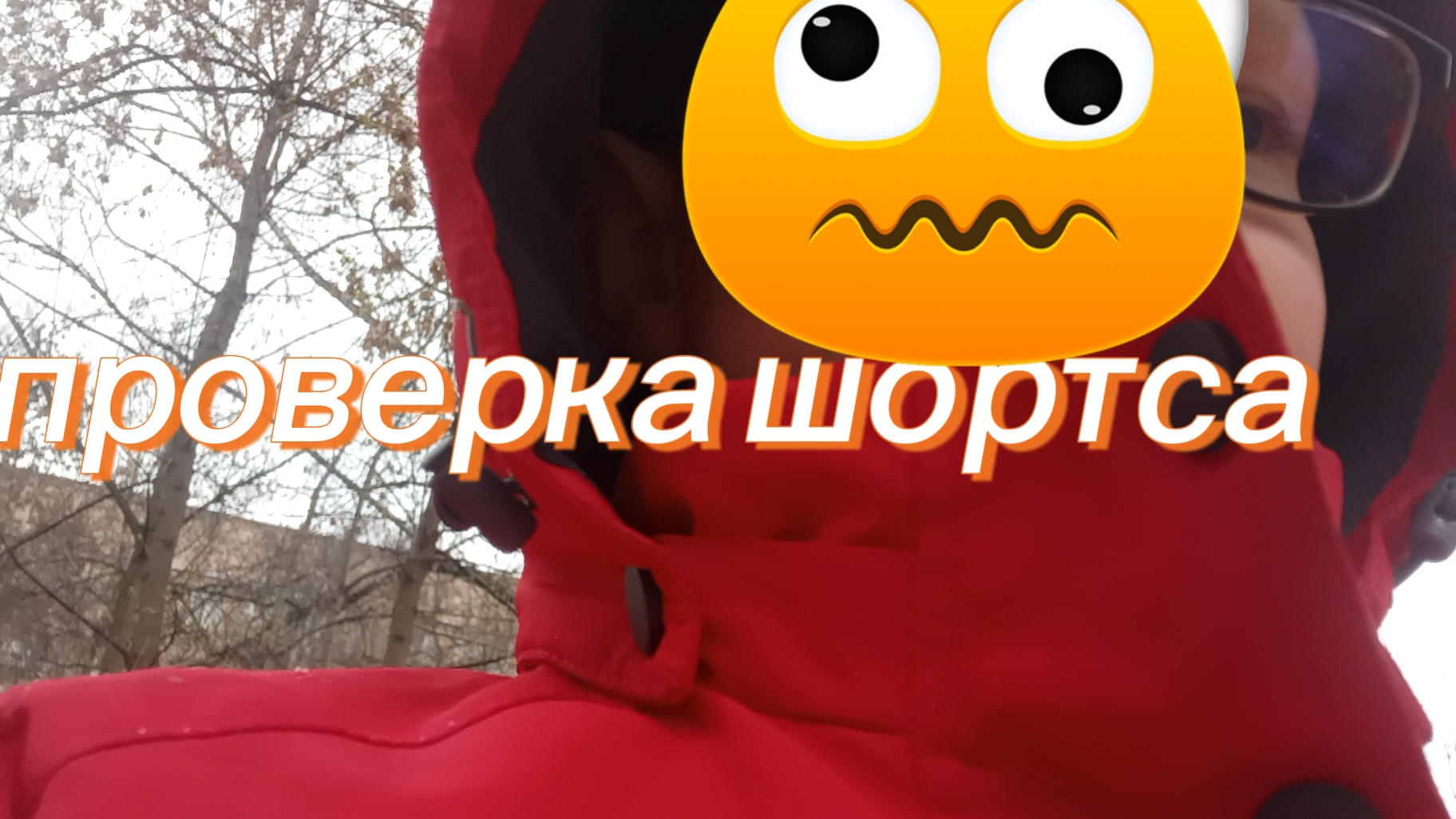 проверка шортса