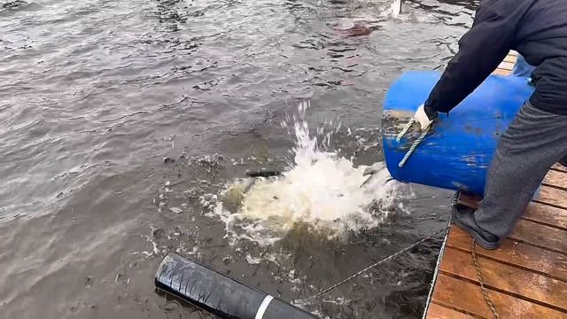 Copy_859C375D-02D3-4D44-9C73-184B1D510A90