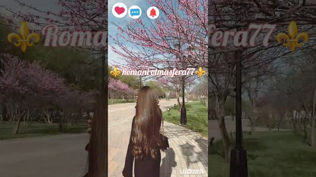 👑💥Новая Цыганская 💥 Полька 💥👑⚜️типа 2026⚜️ Тэ Жан тэ почелэн 🎵👌 Не забудьте подписаться ❤️.