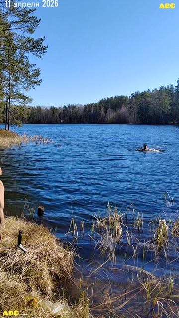 Великая суббота 11.04.2026 #будогощь #юныйпрадедбодрыйдед #авсарх