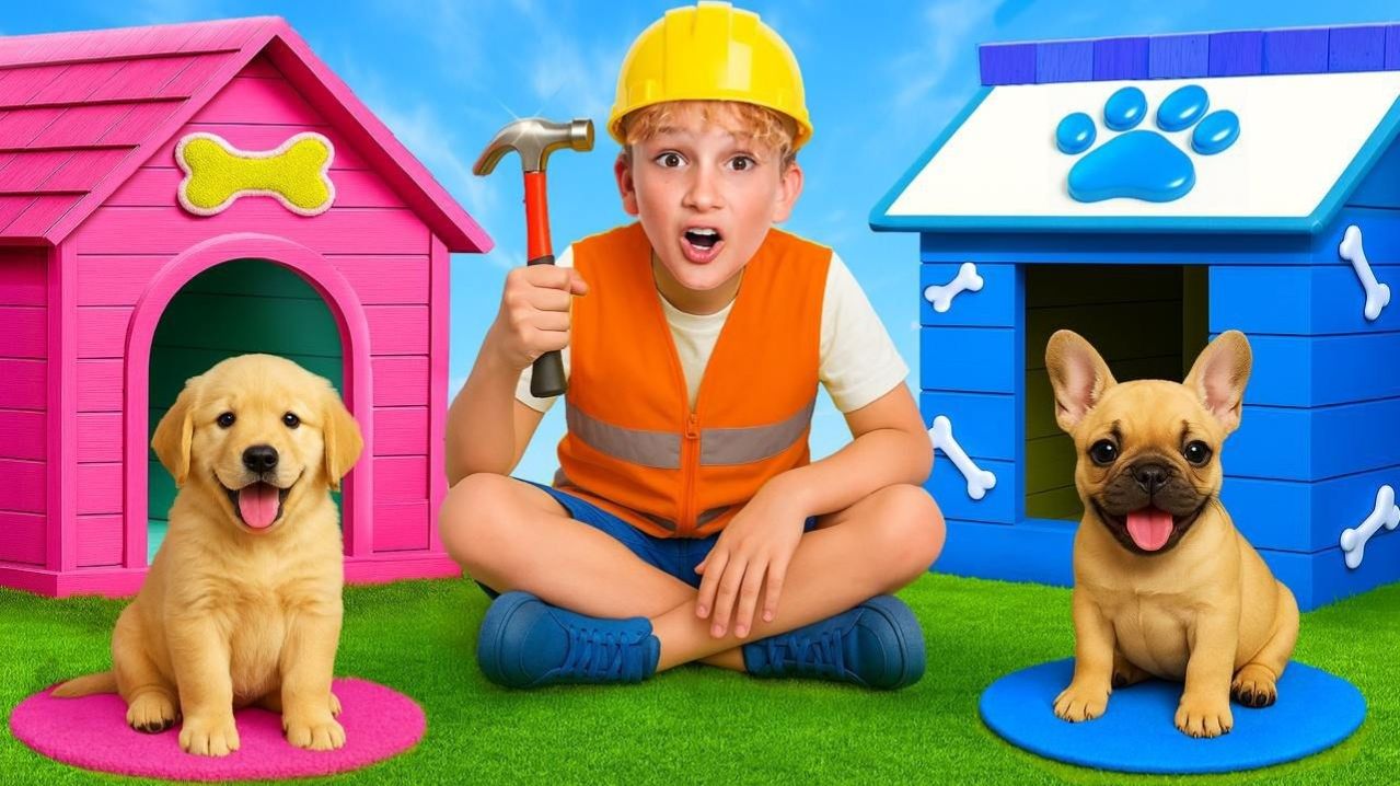 Кто построит собачью будку мечты — ПОБЕДИТ!!! ВИДЕО ДЛЯ ДЕТЕЙ