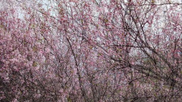 Жизнь продолжается!