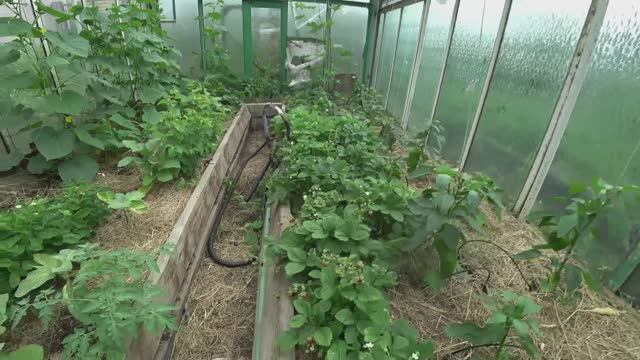 Влог от 21.07.2022