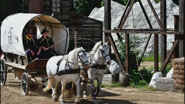 Сборник моих фотографий  2019 68 часть