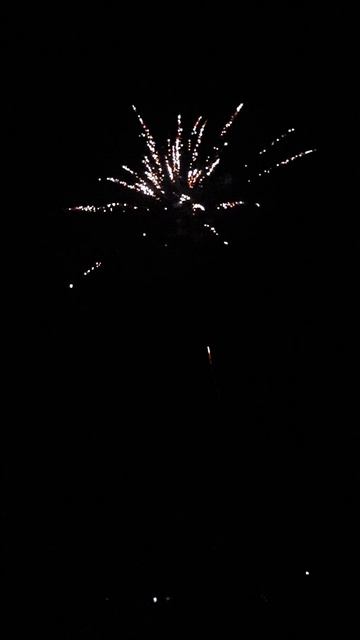 ASB114_Первый_снег_4908