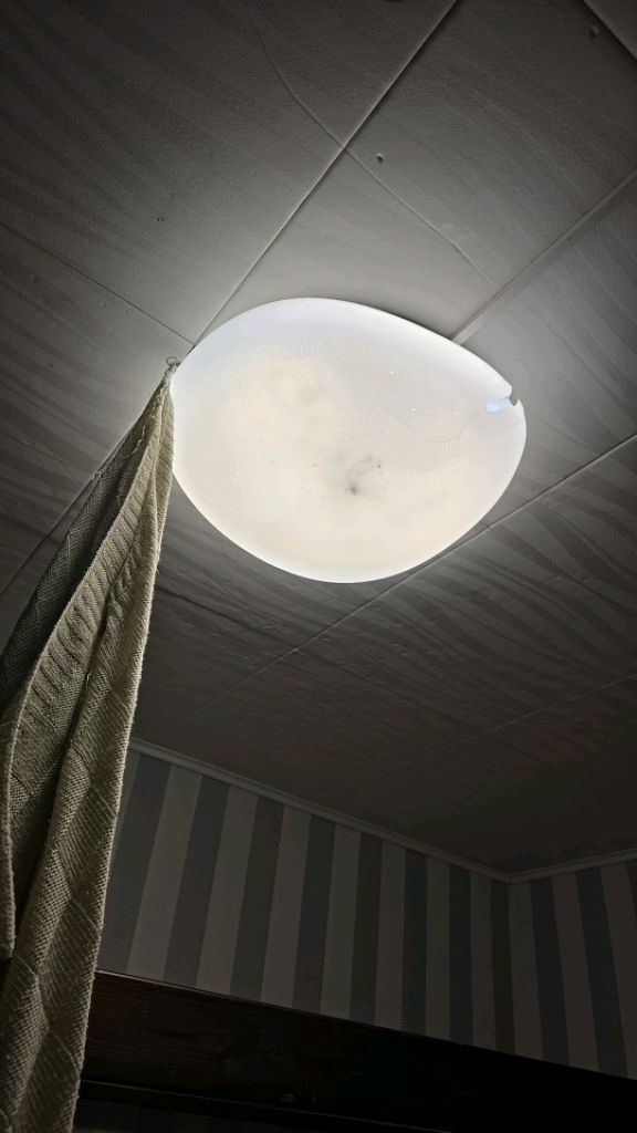 показю плечики за 200₽