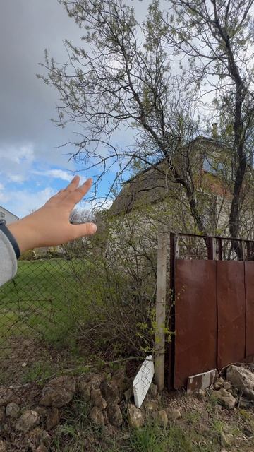 Ровный участок возле асфальта на Фиоленте