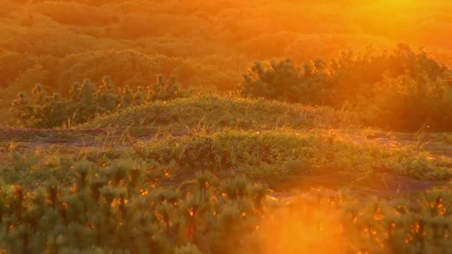 Свет детства