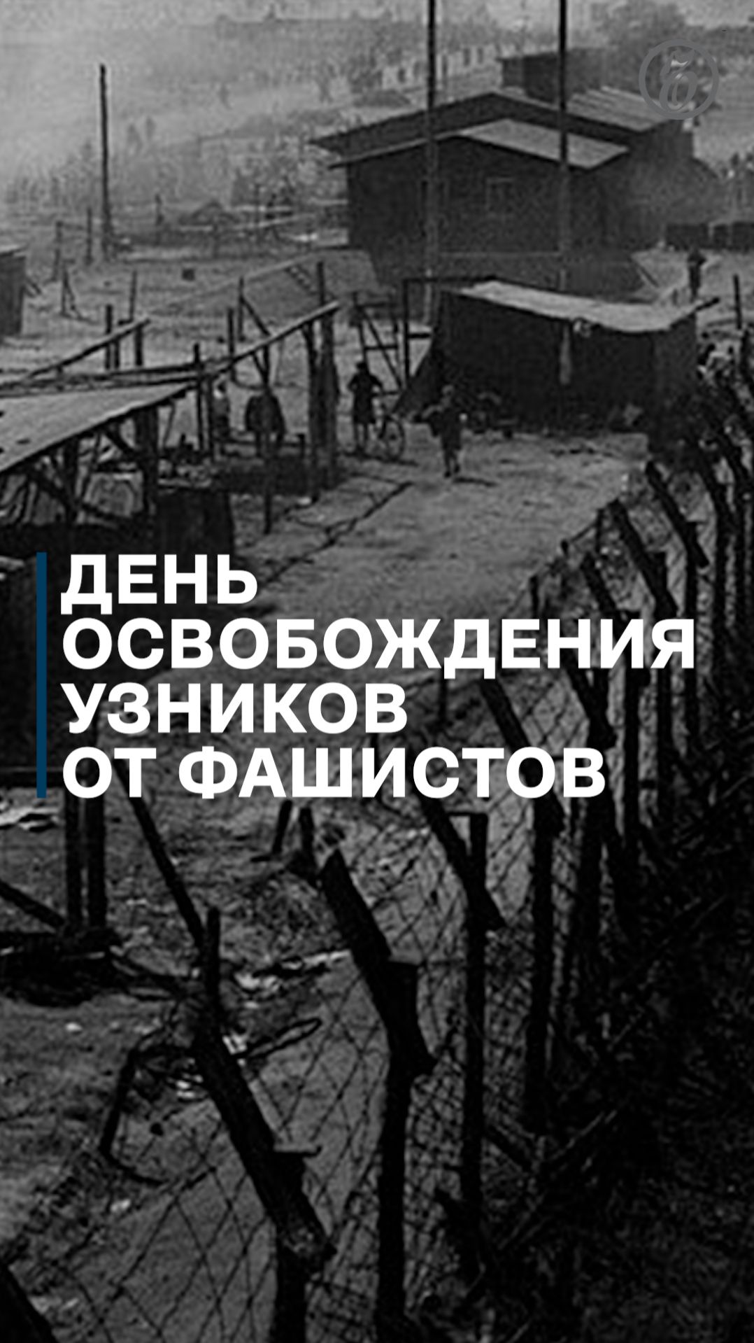 День освобождения узников от фашистов
