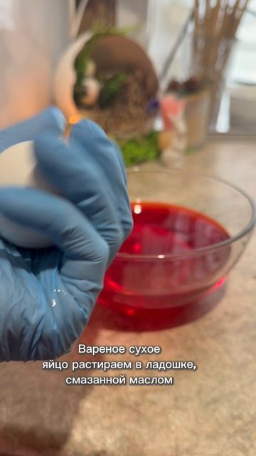 Яйца - мухоморы