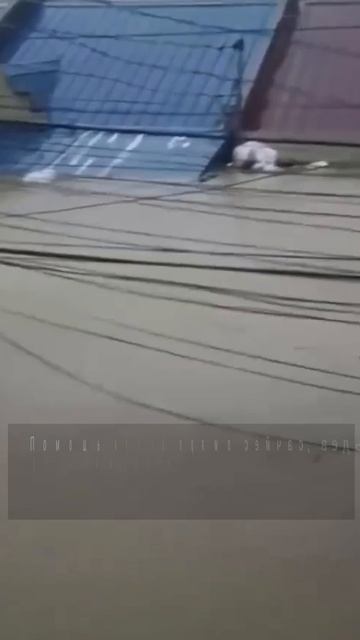 Клип @yaroslavl.bloger