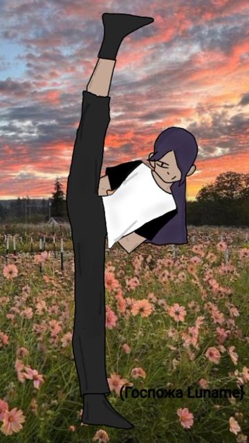 На конкурс﹥3
 (Госпожа Luname}