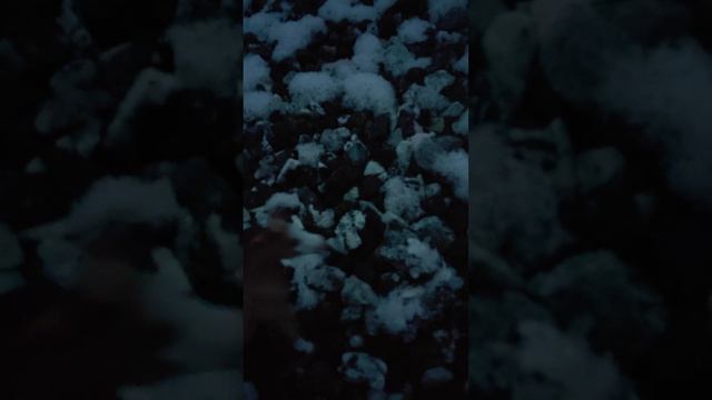 Мини-фильм про лошадей schleich