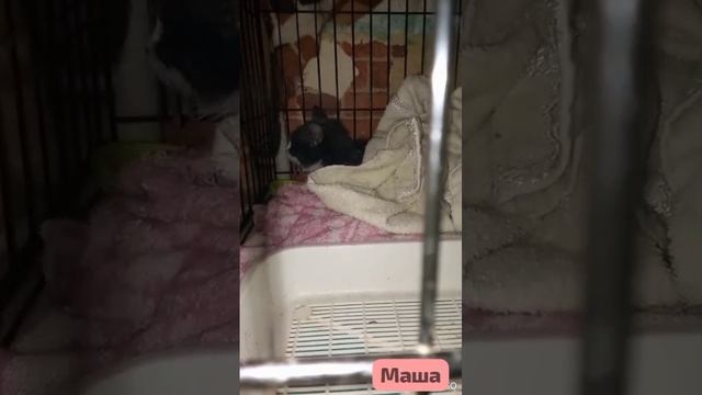 Жизнь- не картошка.Не выбросишь в окошко. 🪟