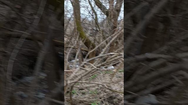 Товарищ Бастрыкин закройте пожалуйста кран .