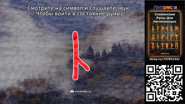 55d65d2b21e9a90a5fbfee12693a4096