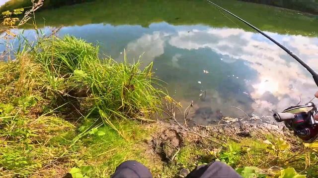 Такого на рыбалке я ещё не видел! Рыба клюёт сильно и заводит в коряги! Спиннинг с берега.