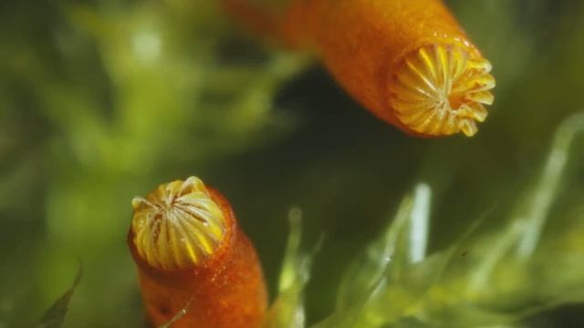 D7e857c1d1adaee375e0cbf8fa54a88a