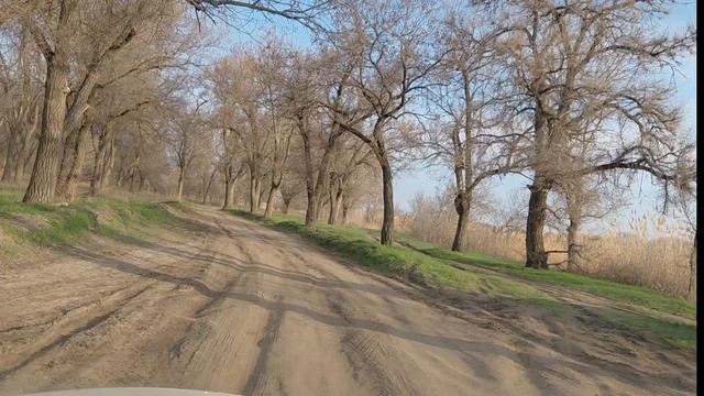 Первая рыба в этом году.