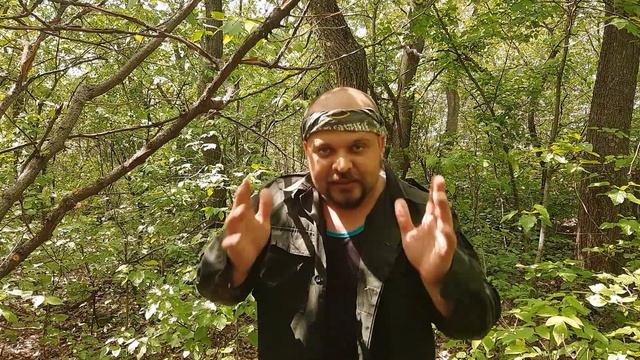 Как защититься от дикого кабана в лесу