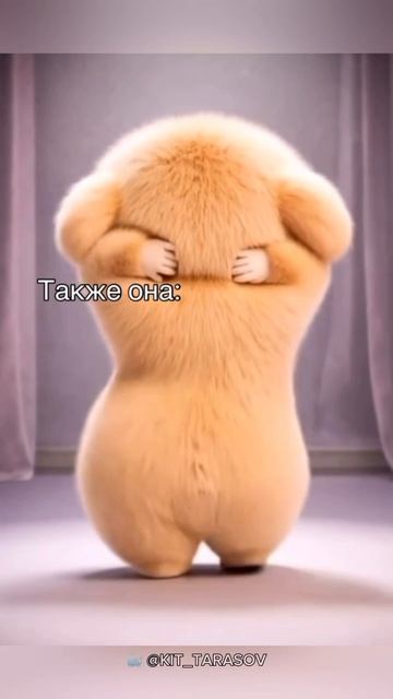 🐳 Вкусняшки #kit_tarasov