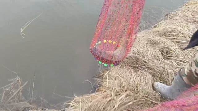 VID_20260411_102454_510