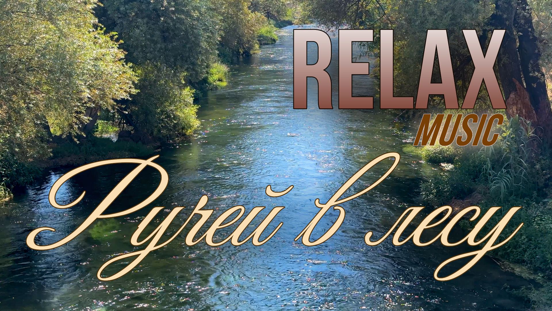 🎵 RELAX | ТИХИЙ ЛЕС, РУЧЕЙ И ПЕНИЕ ПТИЦ — АТМОСФЕРНАЯ МУЗЫКА ДЛЯ СНА И ПОЛНОГО РАССЛАБЛЕНИЯ