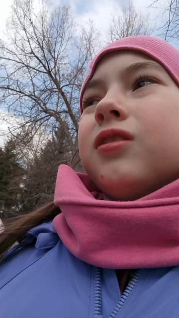 C3185a513c1e71d7f358d04c26cd4784