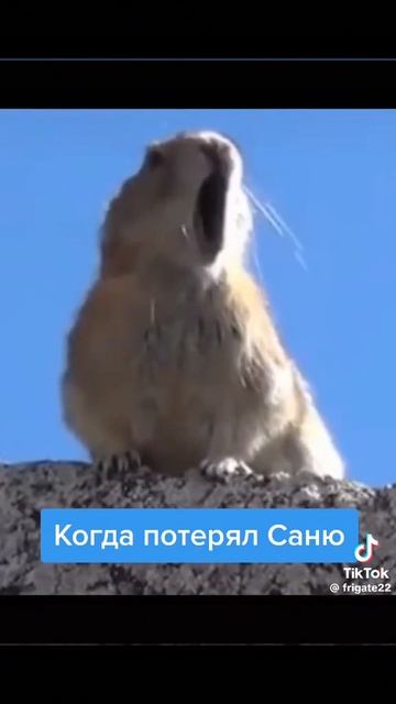 смешно
